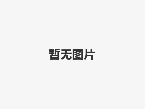 臨清塔機(jī)廠家詳細(xì)介紹什么是標(biāo)準(zhǔn)節(jié)？